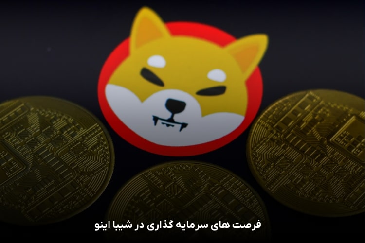 فرصت های سرمایه گذاری در شیبا اینو